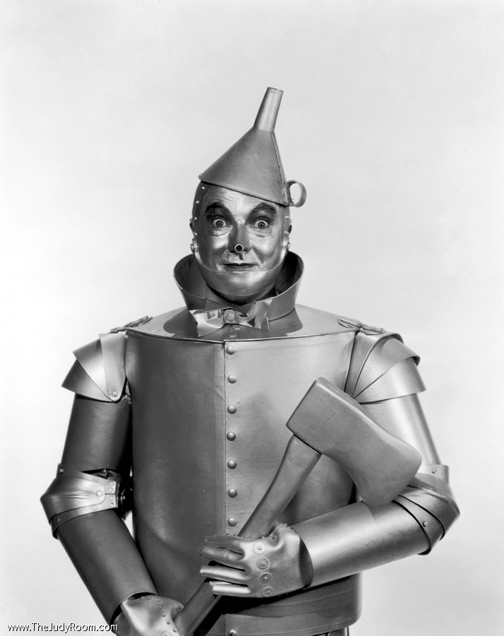 tinman5.jpg