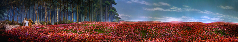 The poppy field in The Wizard of Oz 1939